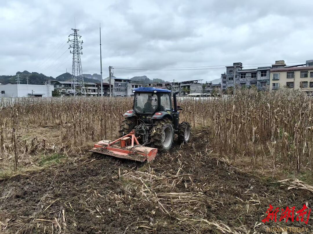 龙山秸秆利用率超95%，年均带动农户节本增收2000余万元