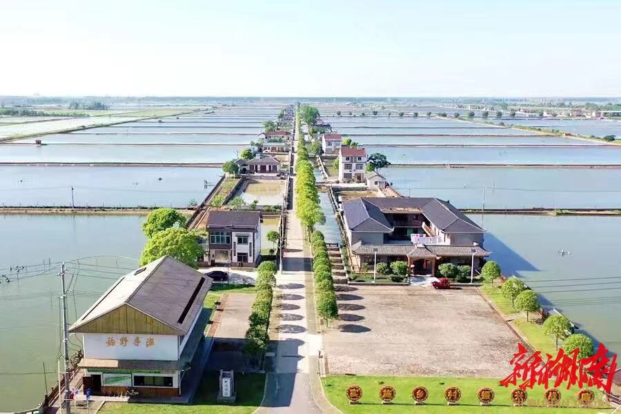 支部建在产业上⑭丨毡帽湖村：鱼鳖混养 增产增收