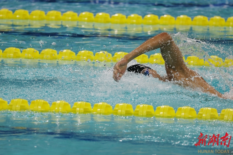 圖集|張展碩力壓潘展樂、孫楊奪金