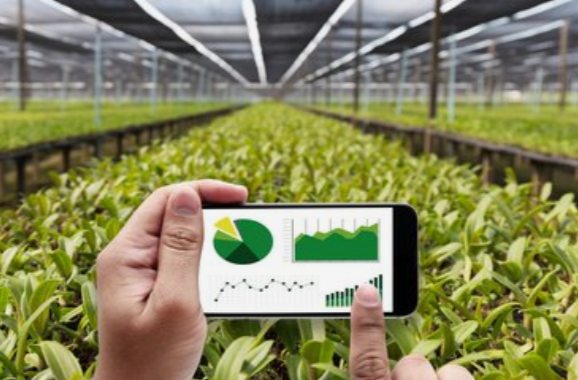 宁远农技服务到田间@湖南日报