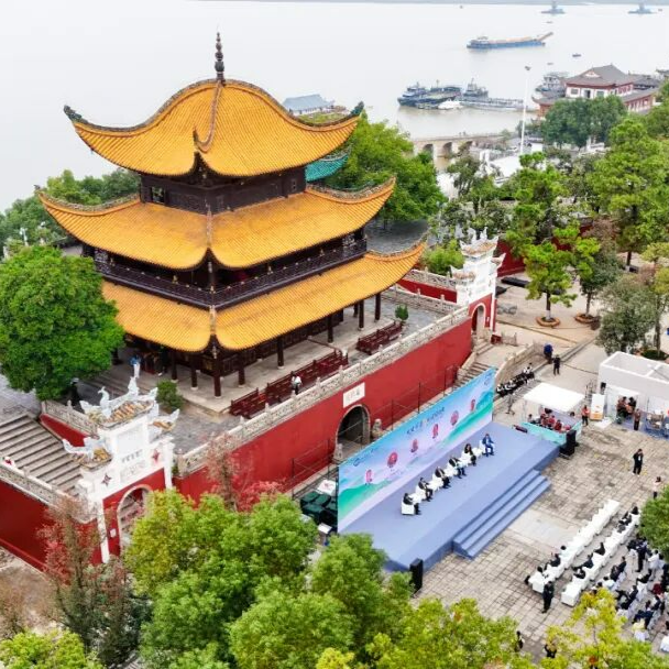 人民日报聚焦！“忧乐精神”何以圈粉一众大使？