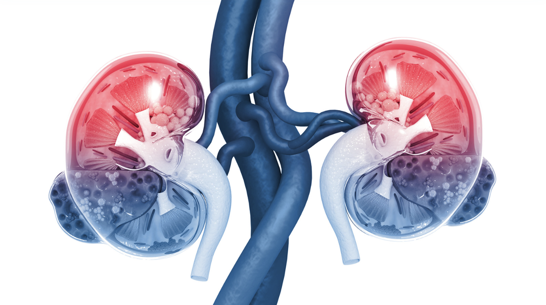 这些不良习惯正在悄悄“榨干”你的肾