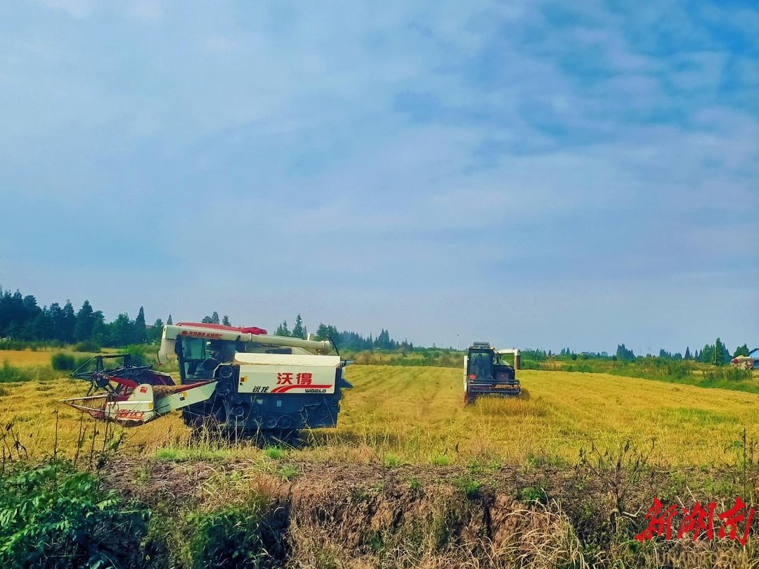 南县耕余堂村土地流转唤醒近百亩“沉睡田”