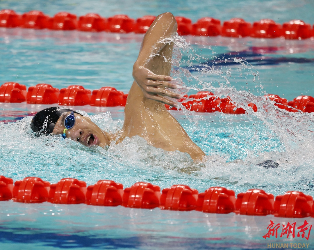 張展碩獲男子800米自由泳金牌