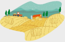 祁阳高标准农田“长出”丰收图景