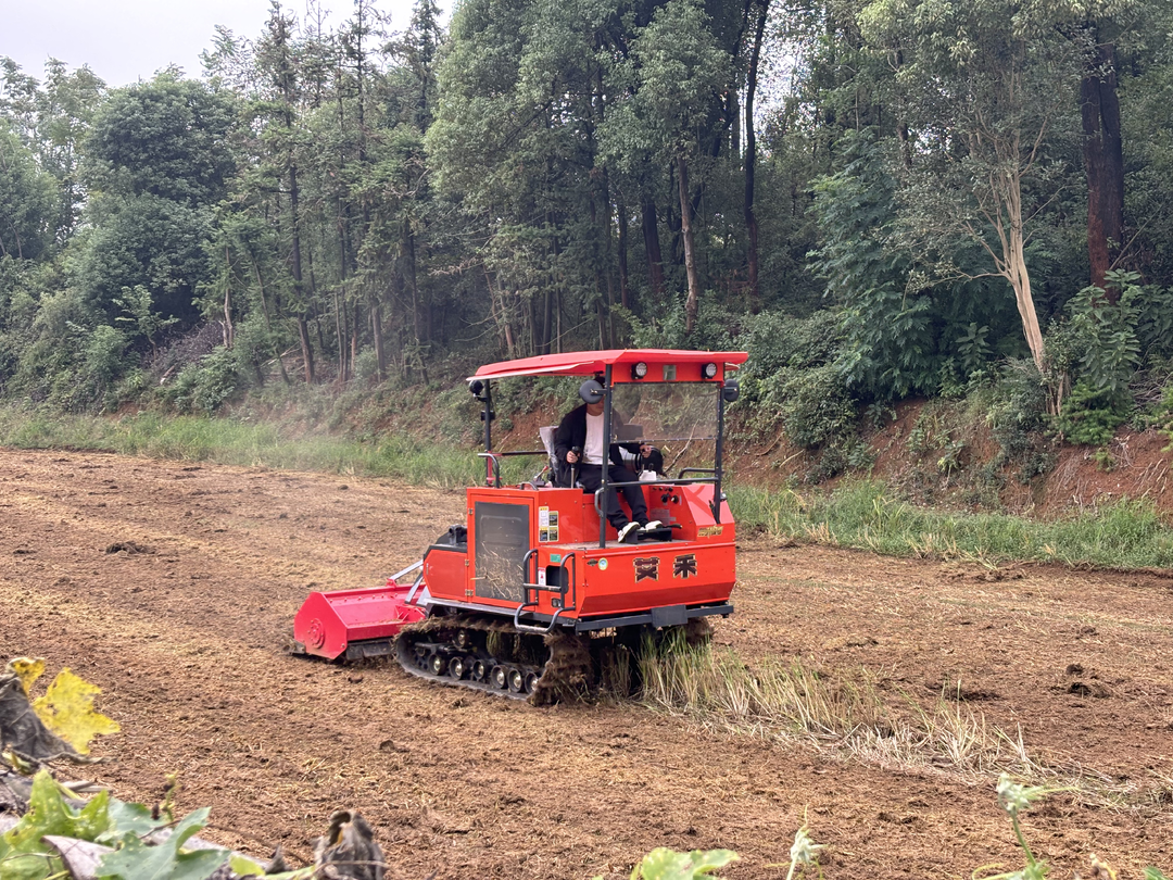 益阳笔架山乡：秸秆变沃土 田垄添新绿