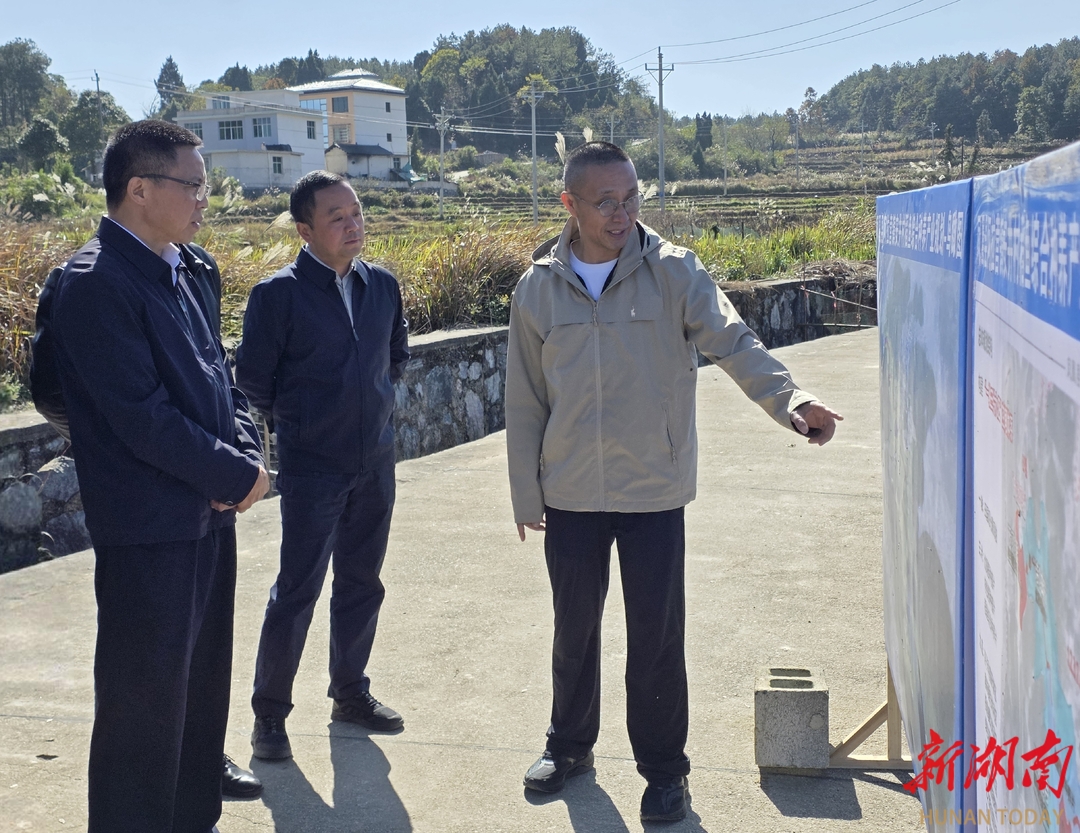 省教育厅副厅长孙传贵赴凤凰安井村调研乡村振兴衔接工作 - 教育资讯 - 新湖南