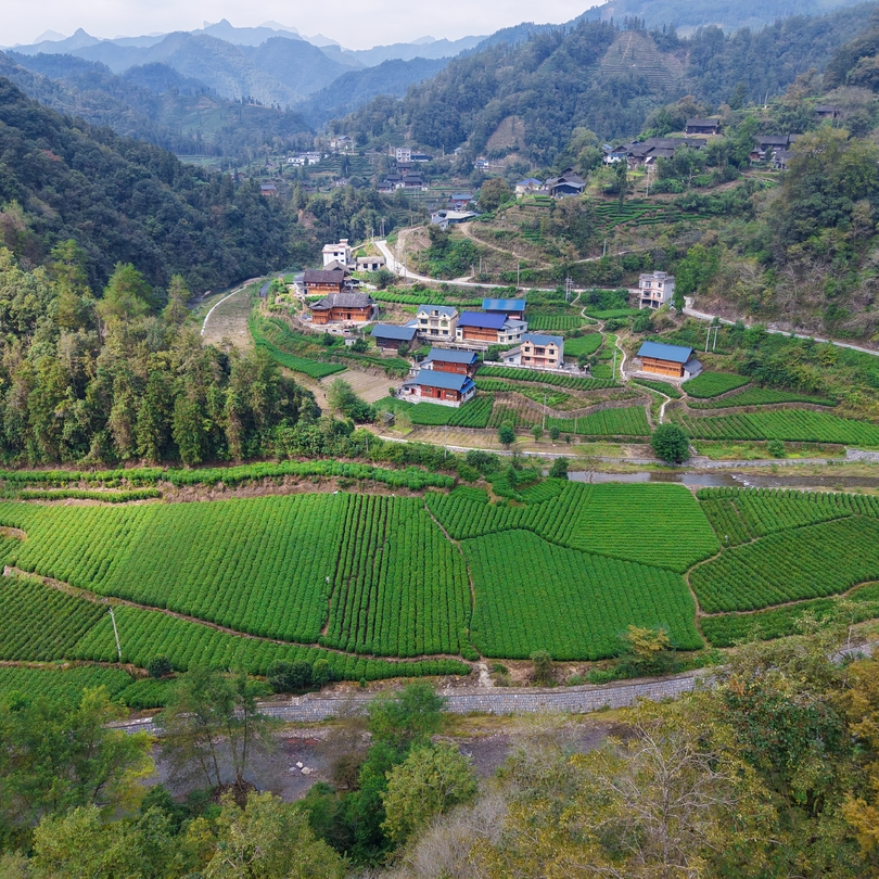 “十四五”期末考试民生答卷来了⑫｜“路通了，山货再也不愁卖了！”