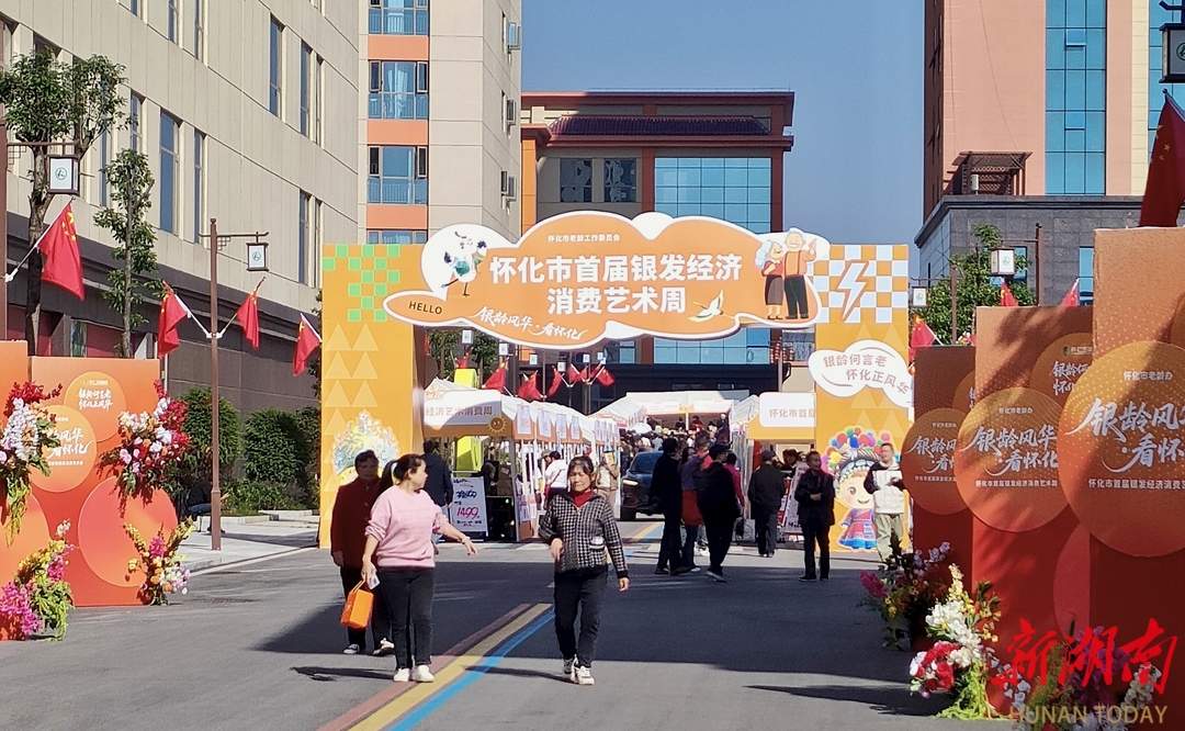 怀化首届银发经济消费艺术周开幕