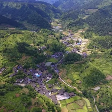  向午平：我们的排茹，我们的村