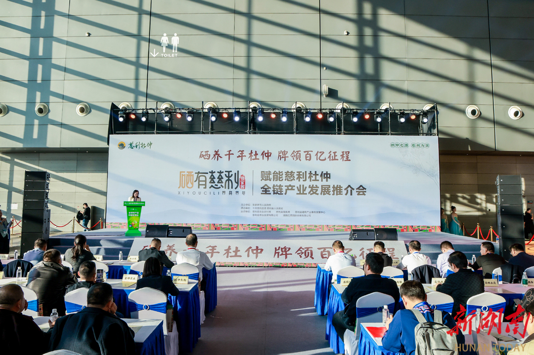 中部农博 红星闪耀⑨丨慈利杜仲亮相中部农博会 产业全产业链产值突破10亿元 