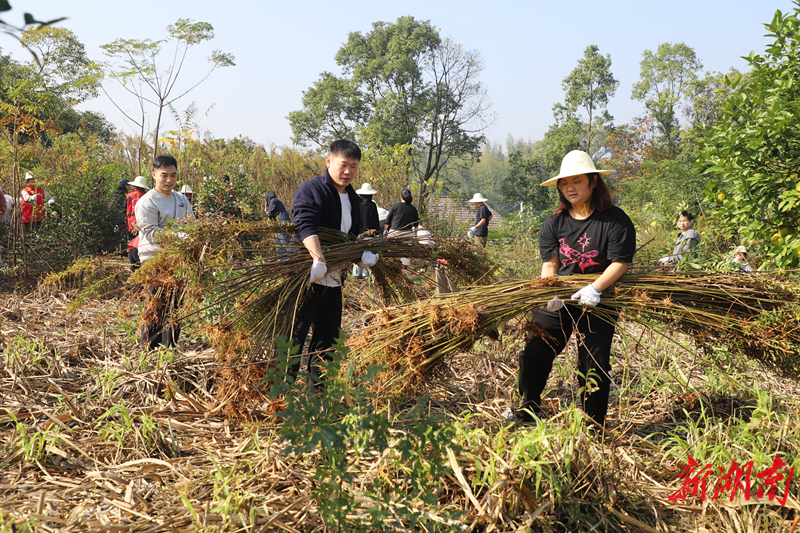 检察蓝守护生态绿 汨罗市检察院开展生态保护主题党日活动