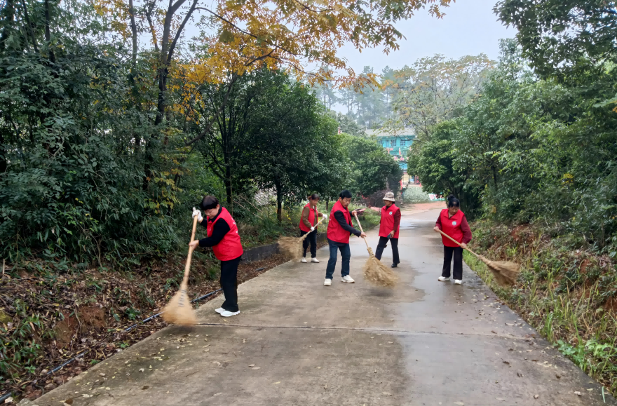宁乡环保志愿者开展人居环境大清扫行动