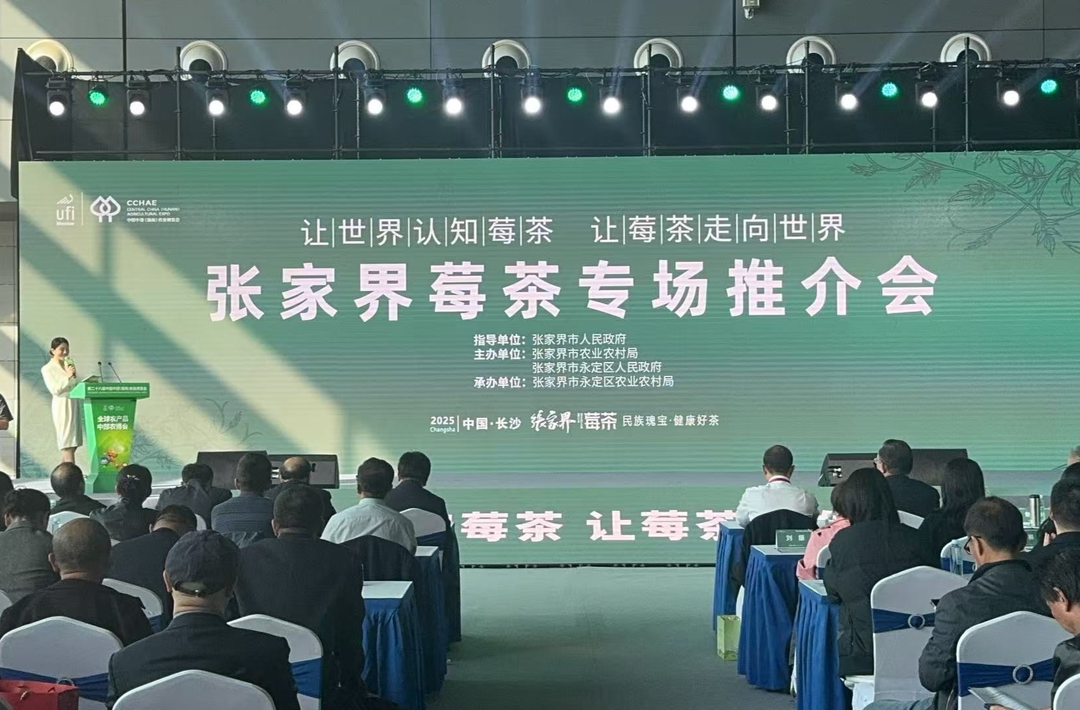 中部农博 红星闪耀⑧丨张家界莓茶专场推介会举行 推动“莓茶名片”走向世界