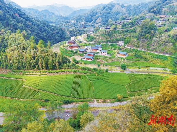 “十四五”期末考试民生答卷来了⑫｜“路通了，山货再也不愁卖了！”