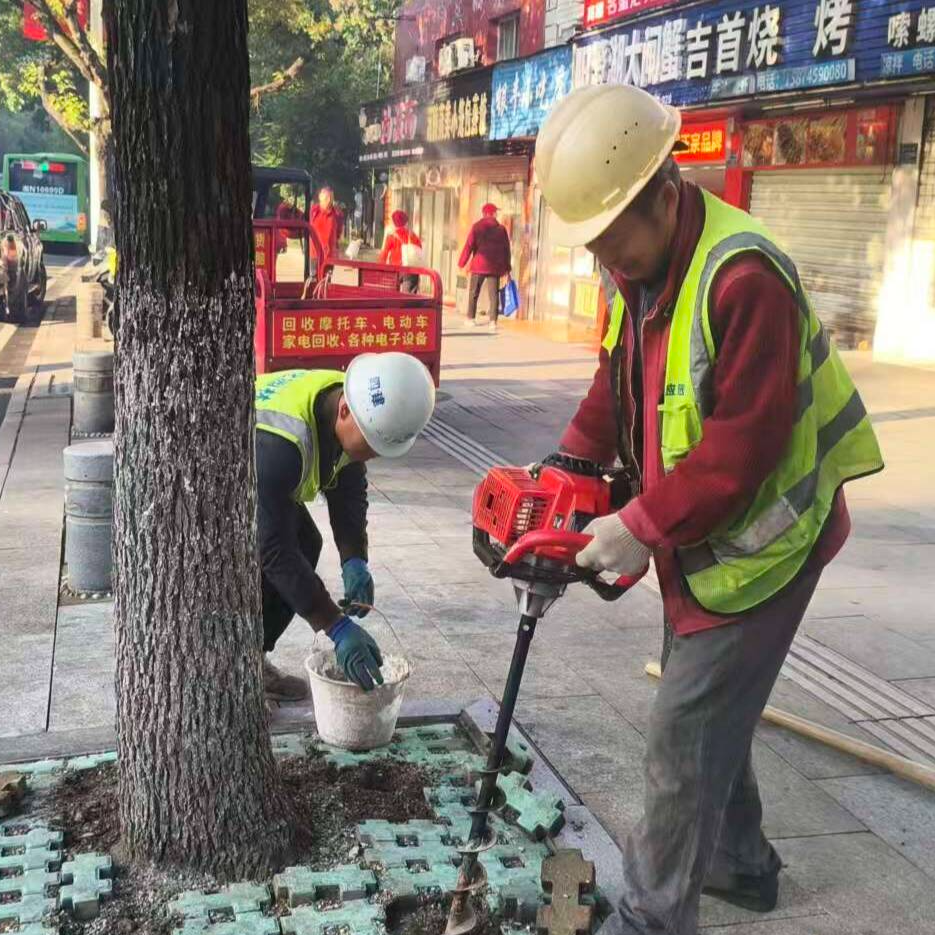  为树木“储能”越冬 怀化城区绿化冬季养护启动