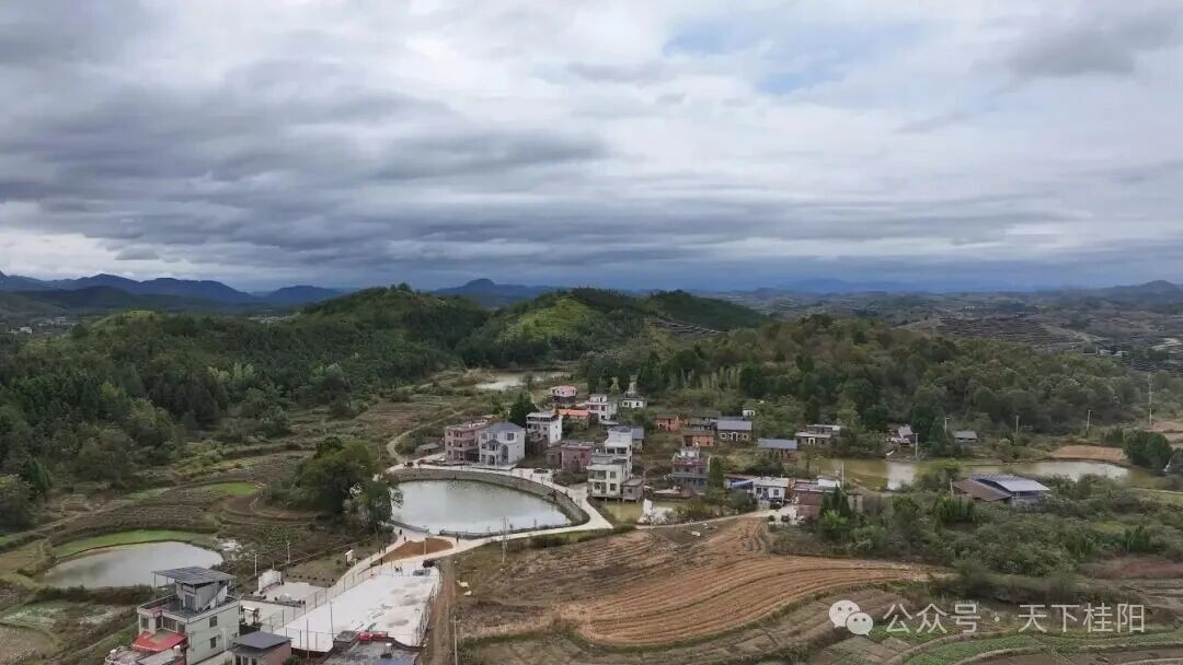 桂阳县塘市镇茶园村：“三驾马车”拉响乡村振兴特色曲