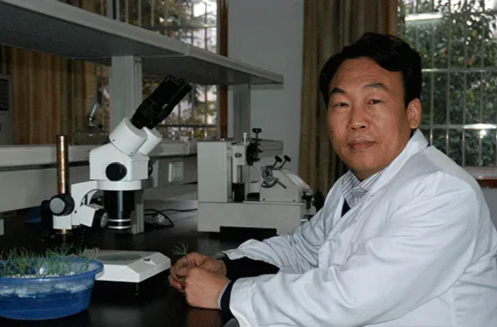 以科技创新筑牢国家粮油安全屏障——访木本油料资源利用全国重点实验室执行主任李昌珠