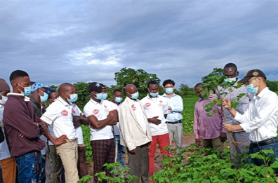 China's Technical Assistance Project for Benin's Cotton Production Bears Fruitful Results