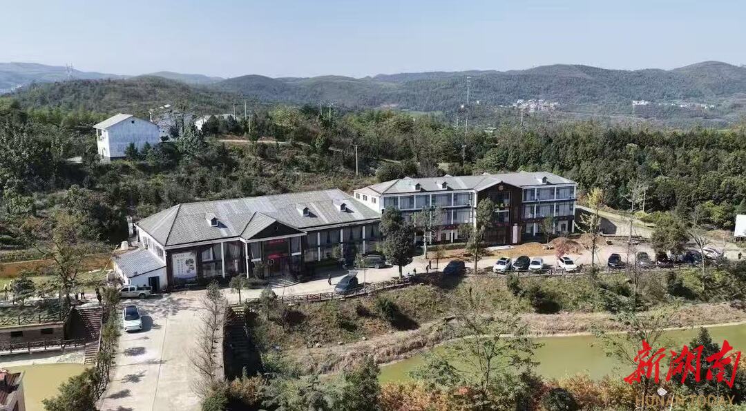 耒阳：醉美初冬，一起坐着小火车赏红豆