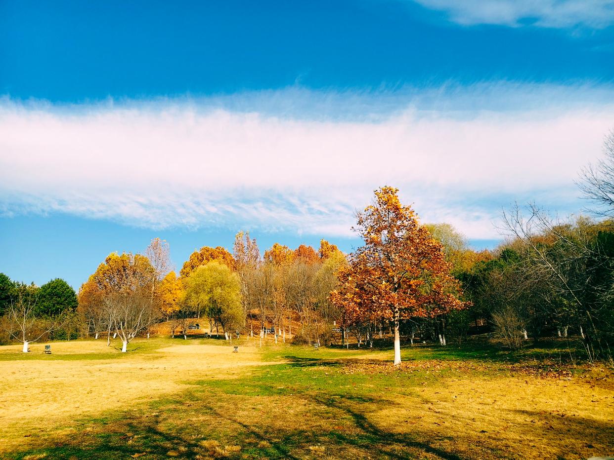 秋深冬浅时，奥森浸染缤纷色彩