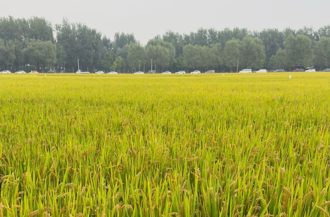 湘潭市农村经营管理带头人集中“充电”