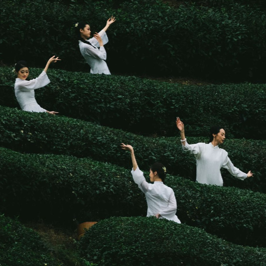 人茶合一美翻了，快来欣赏在益阳创作的环境舞蹈影像《茶·境》