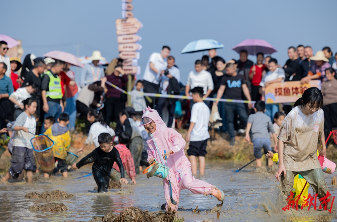 有一种浪漫，是把音乐会开进宁乡稻田