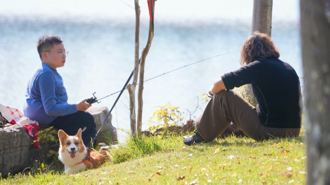  图集｜秋日暖阳