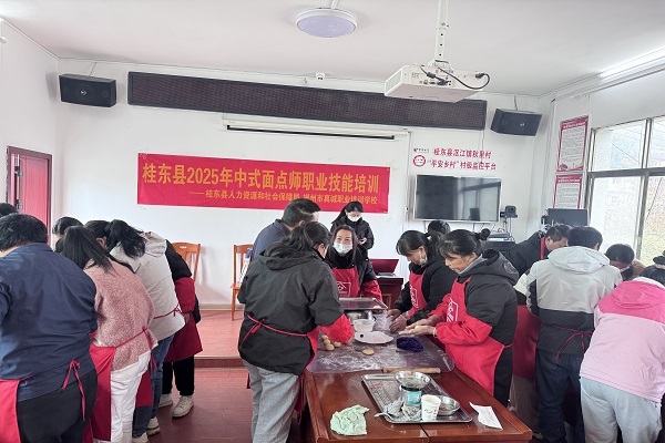 桂东沤江镇：技能赋能稳就业 温情帮扶暖民心