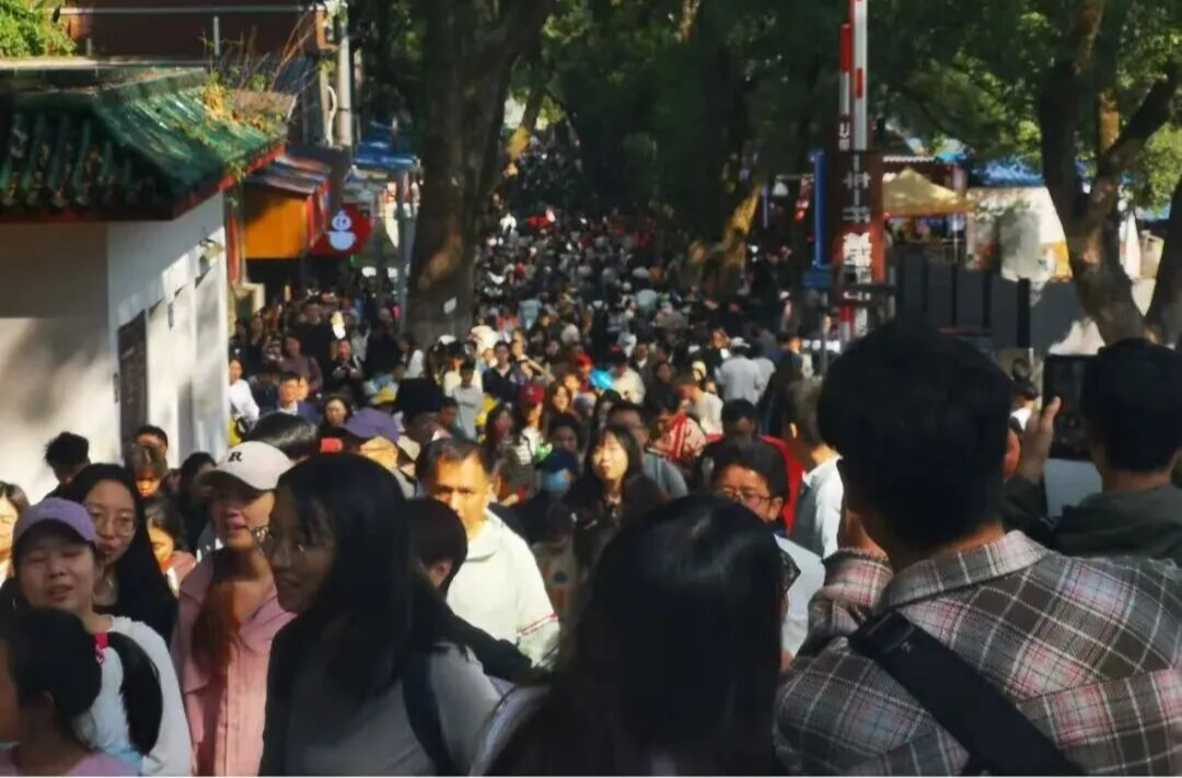 廣東小學生“占領”長沙！岳麓山有一億人！長沙人：想擁有同款假…