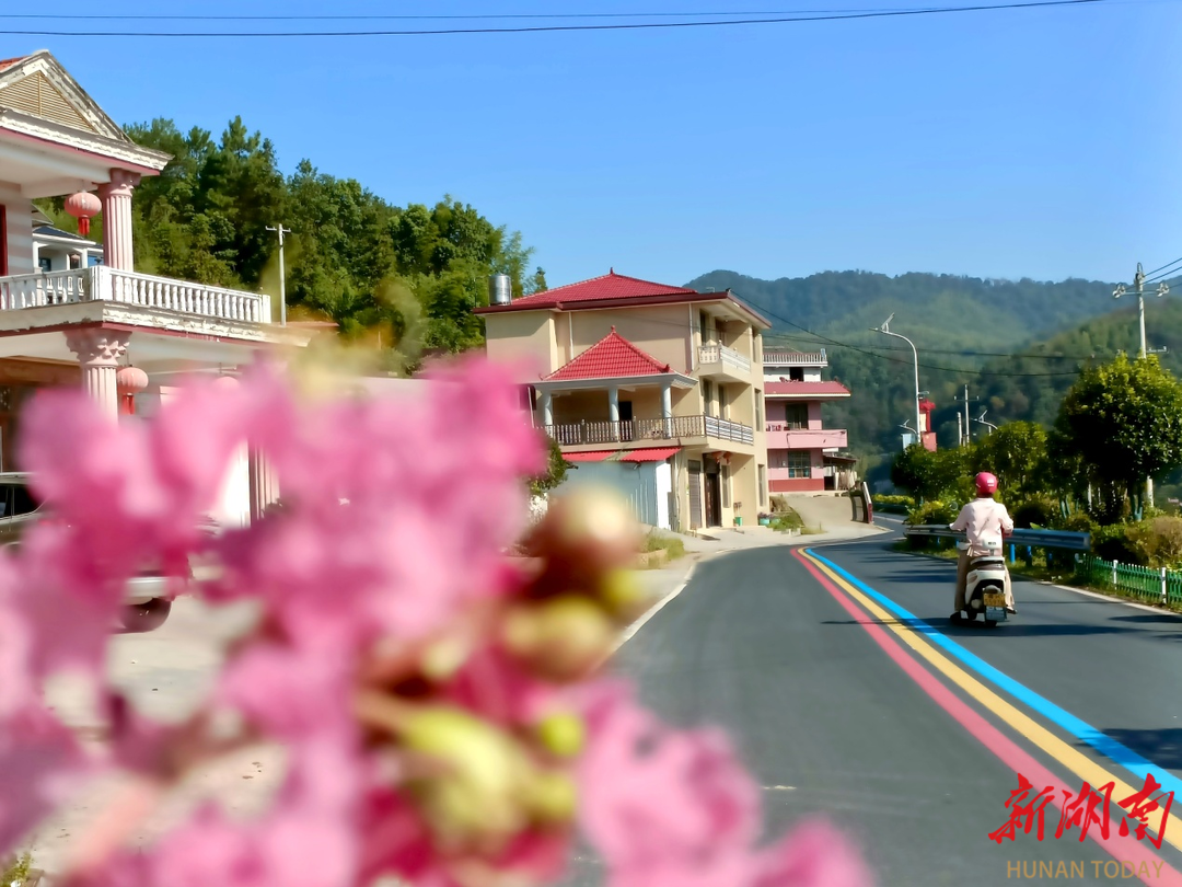 湖南双峰：一条“彩虹路”织就乡村振兴新画卷