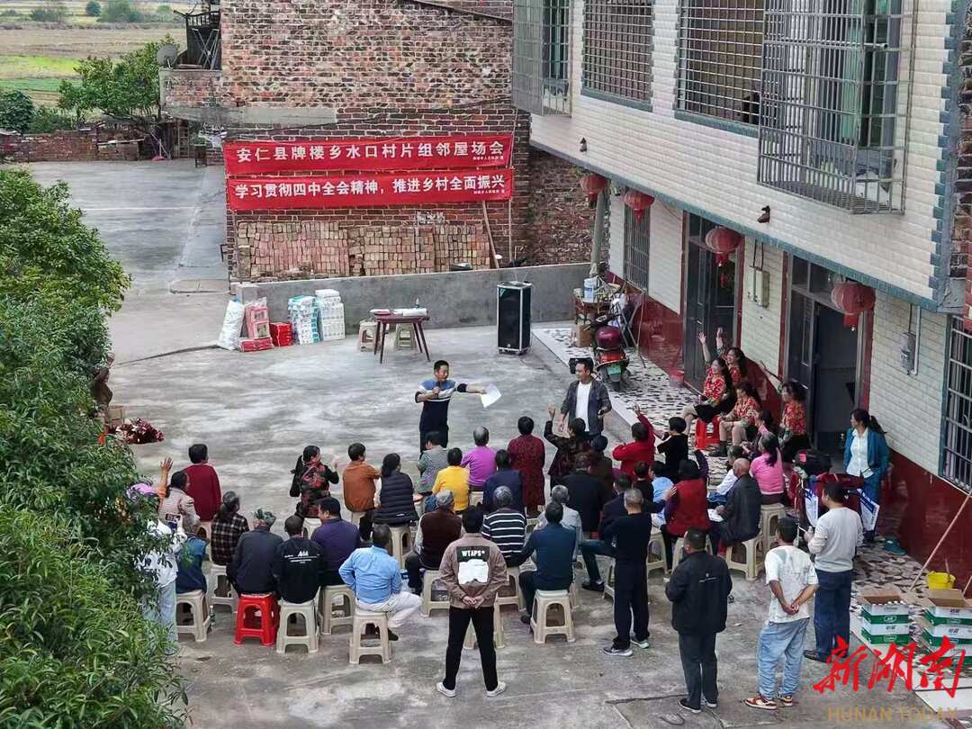 安仁县：板凳茶话连民心 屋场共话促振兴