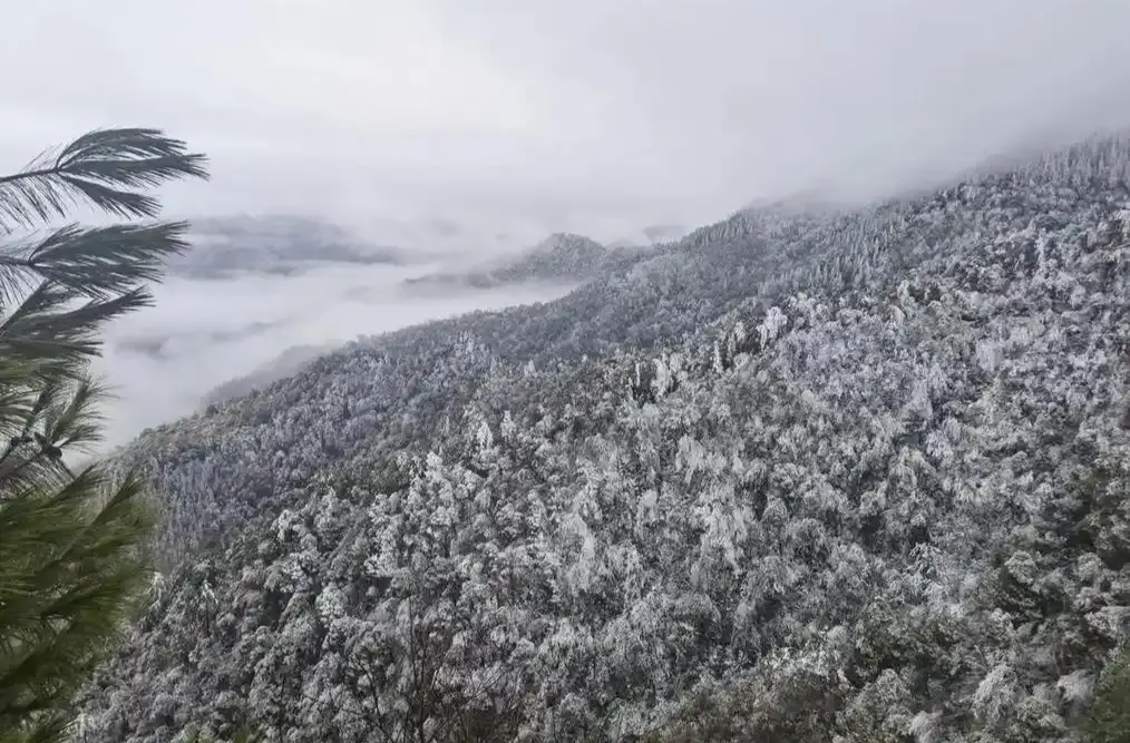 湖南气象发布：初雪或将今天抵达