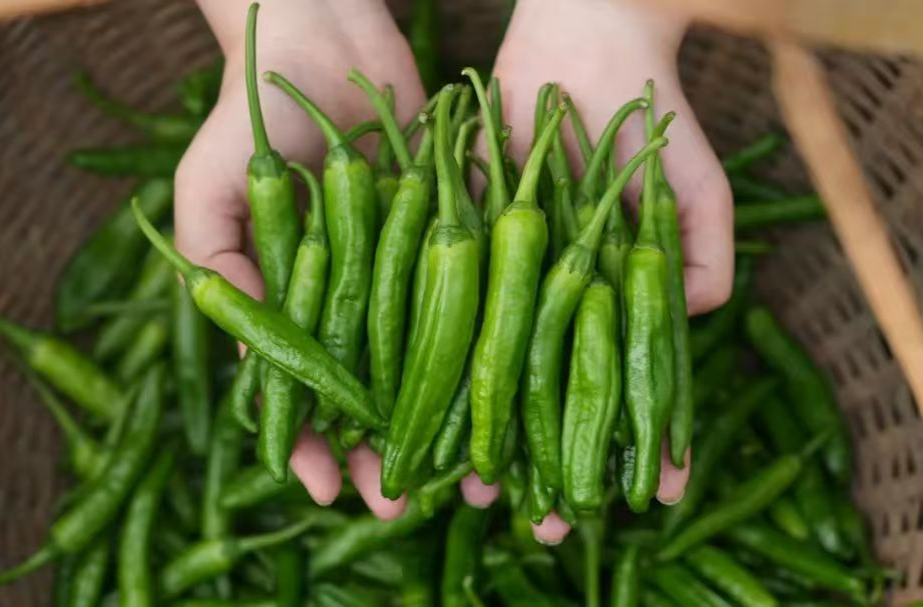 湘阴11个农特产品获中部农博会金奖