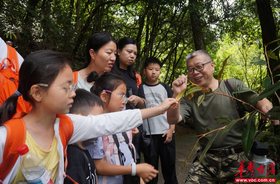 神奇生物在莽山①｜“鸟博士”陈军：“这里每一寸山林都是观鸟好位置”