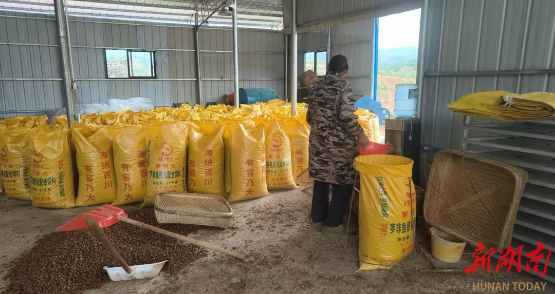 辰溪县后塘瑶族乡：党建引领聚合力 瑶乡药材兴产业