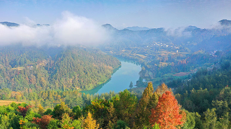 初冬水墨染层林