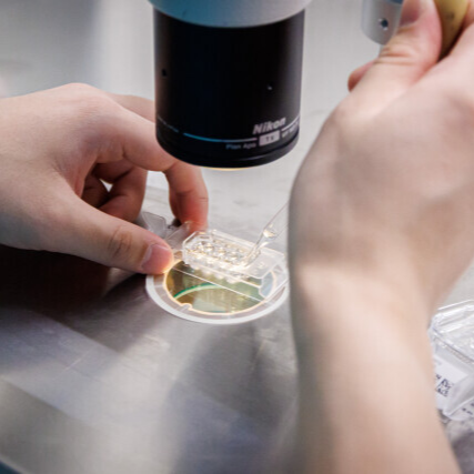 一出生就“15岁”！湖南冻胚技术再获刷新