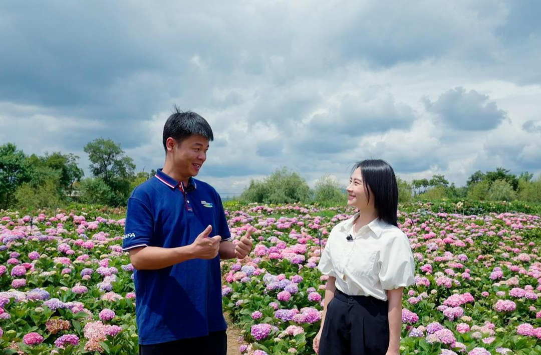 改革者 正青春｜一朵鲜花如何“链接”全球市场？