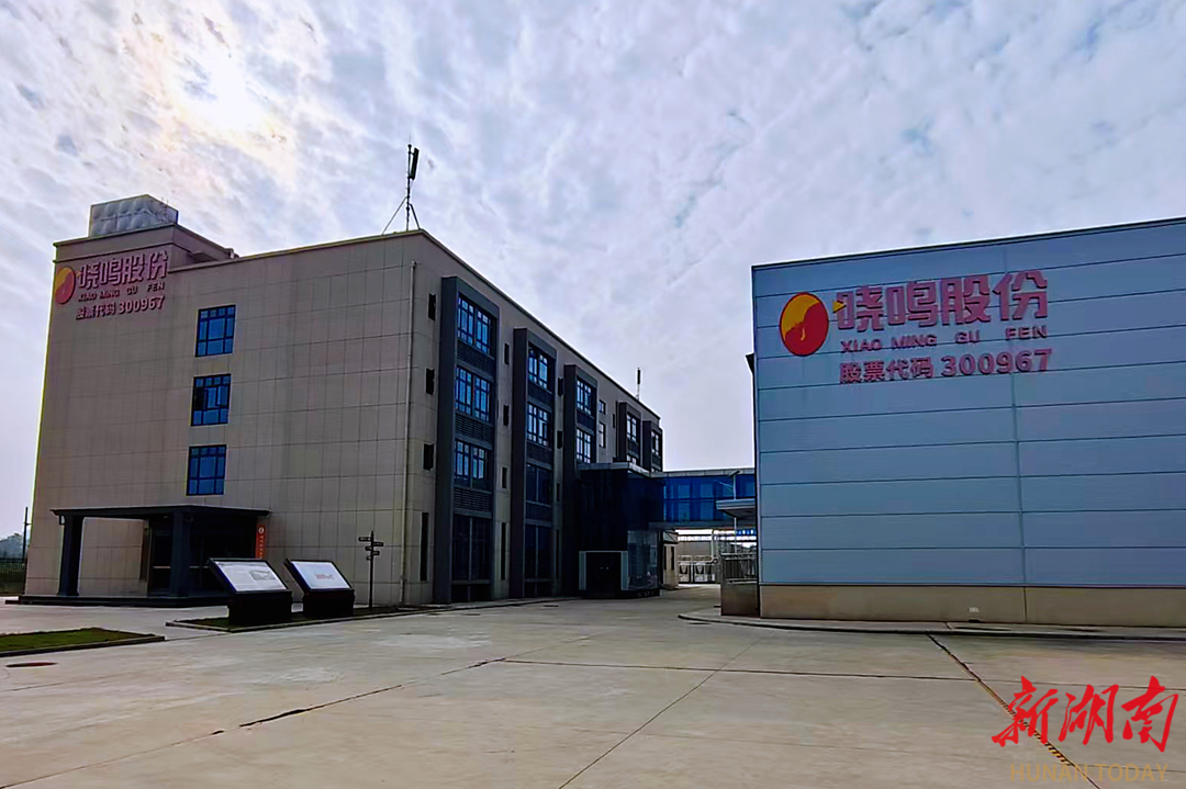 支部建在产业上⑯丨晓鸣股份：建成全球最大单体孵化厅 年孵鸡苗1.6亿羽