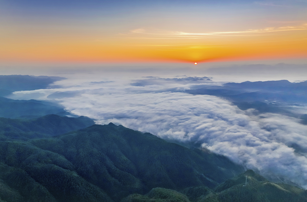 诗歌丨去天硚山看银杏树
