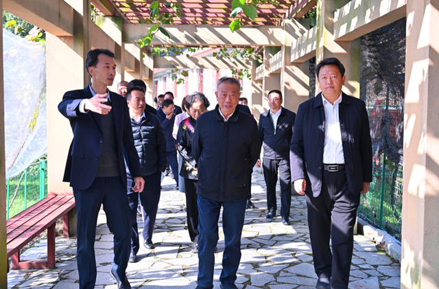 怀化市关工委领导一行到怀化职院调研指导工作