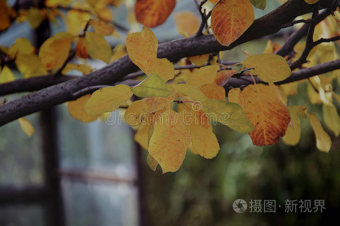 秋假大军涌入 长沙上周景区“含孩量”“含粤量”双双飙升