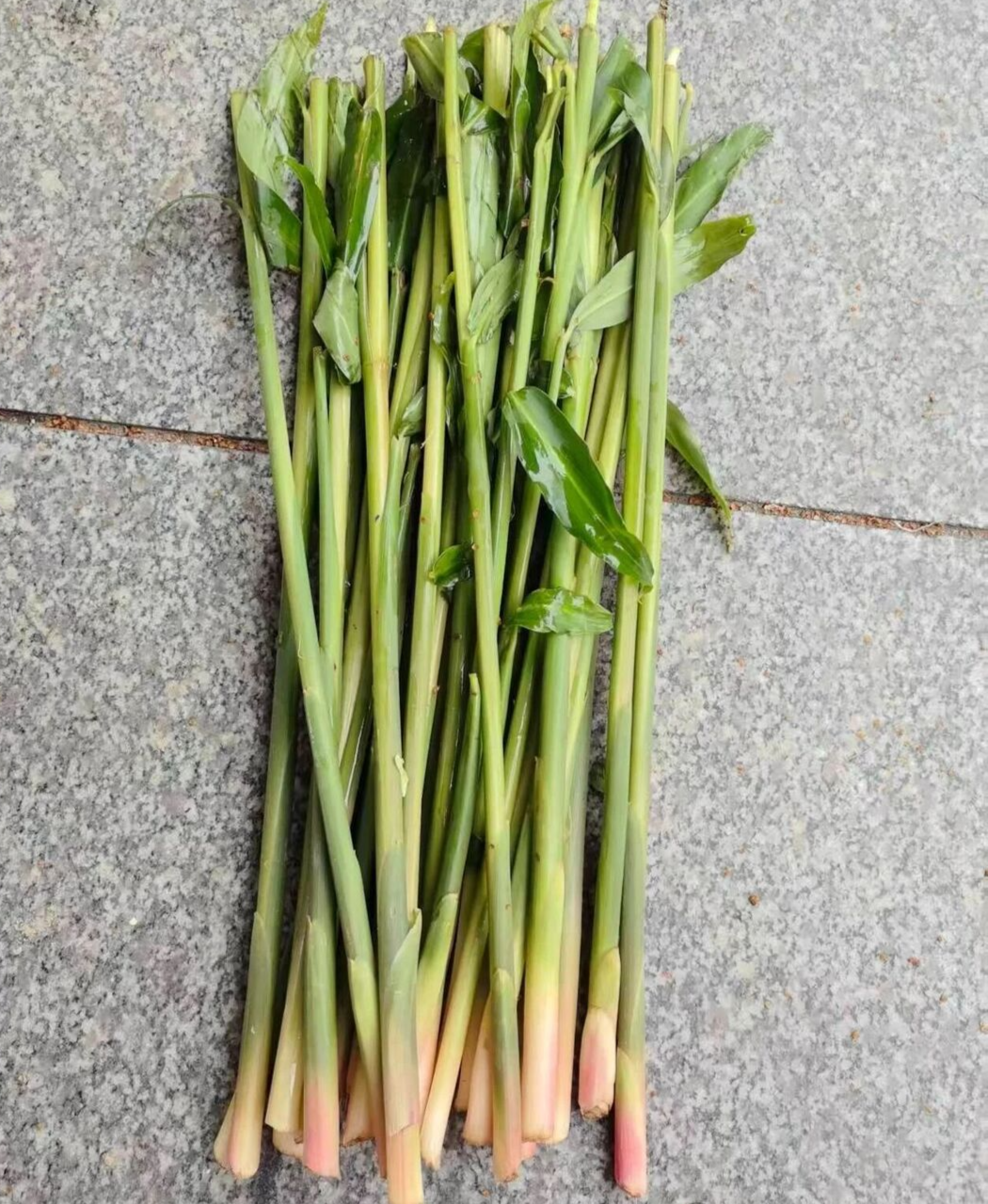 武冈姜禾禾：武冈人秋季餐桌上的宠儿