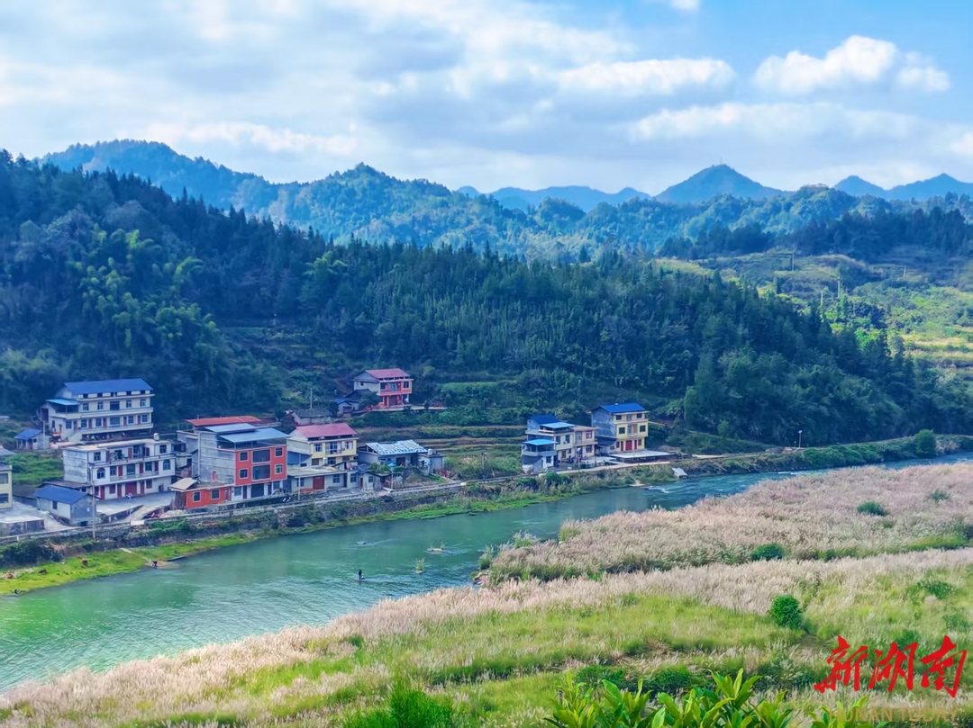 美文欣赏丨芦苇生处廖家村