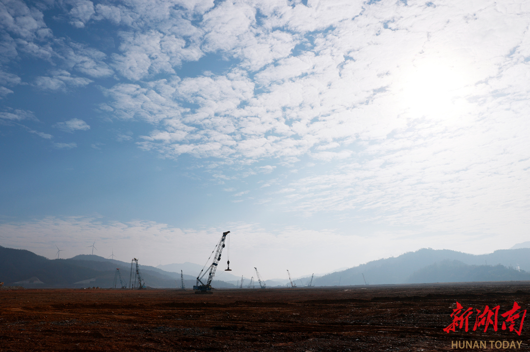 湖南石化：古树“乔迁”焕生机 见证重点项目建设