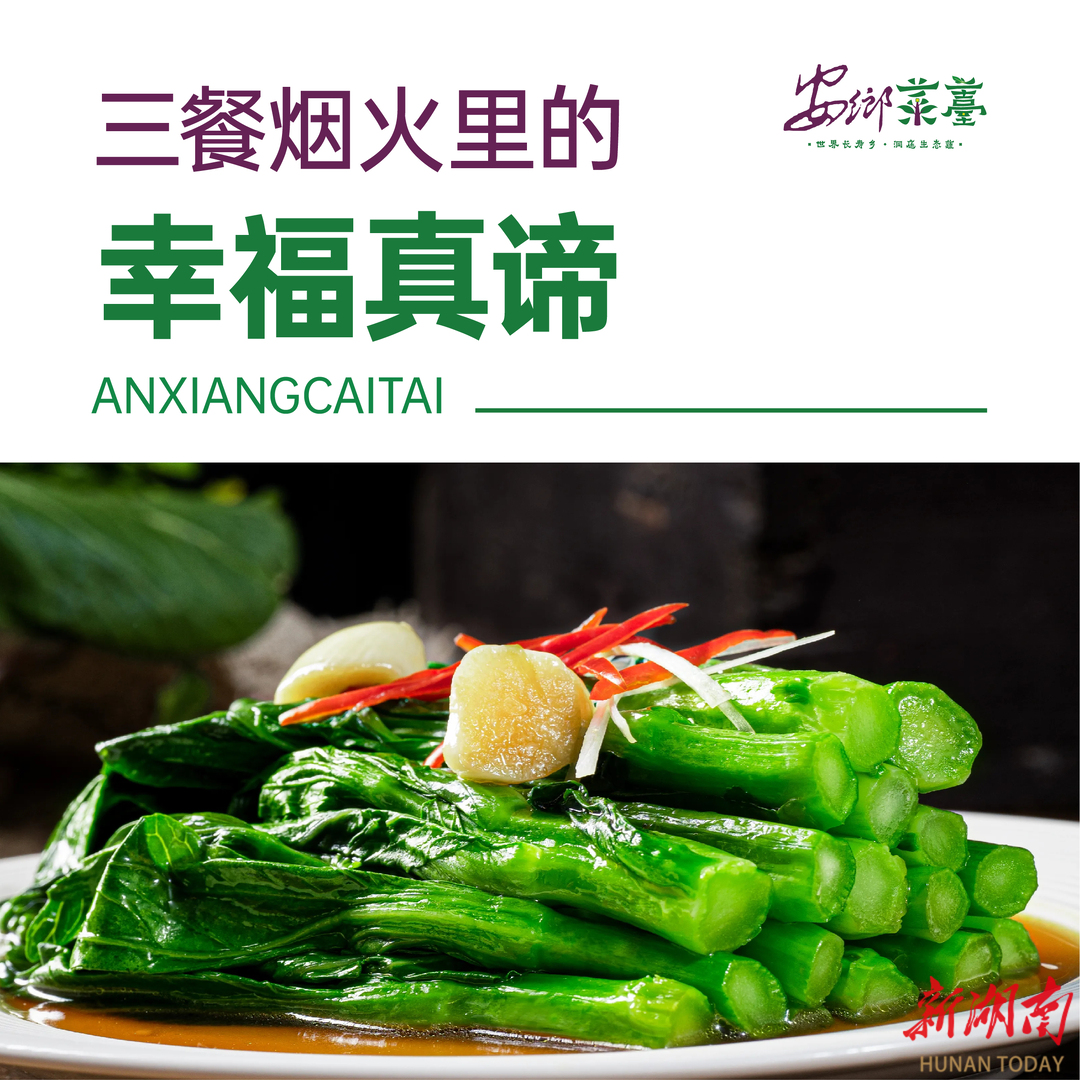 海报丨预祝2025年中国安乡菜薹产业高质量发展大会暨知名客商“走进安乡”活动成功举办