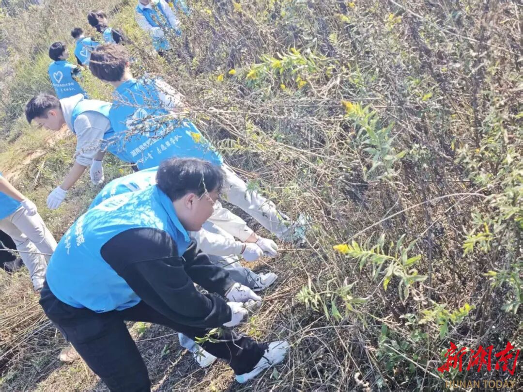 湘潭开展多点位净滩除患生态保护专项行动