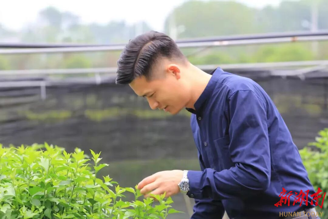 省大学生创业典型选树结果出炉，益阳这个伢子凭“一朵花”入选！